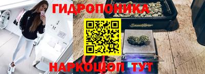 мдпв Аргун
