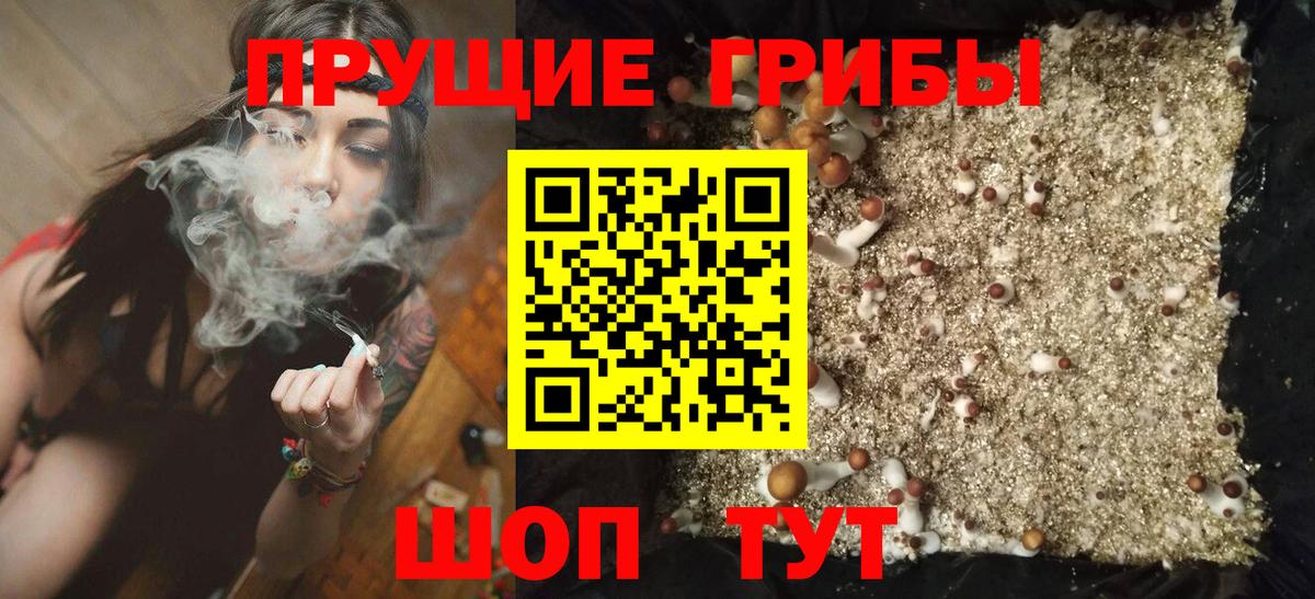 Белебей  Псилоцибиновые грибы Psilocybe  Вход с VPN  Галлюциногенные грибы прущие грибы 